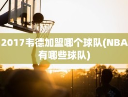 2017韦德加盟哪个球队(NBA有哪些球队)