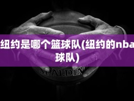 纽约是哪个篮球队(纽约的nba球队)