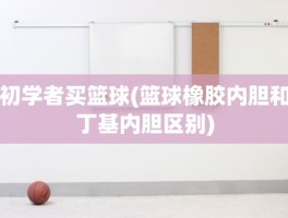 初学者买篮球(篮球橡胶内胆和丁基内胆区别)