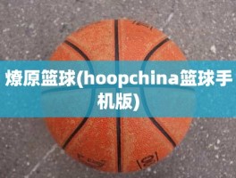 燎原篮球(hoopchina篮球手机版)