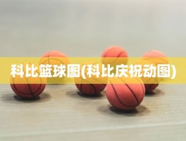 科比篮球图(科比庆祝动图)