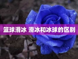 篮球滑冰 滑冰和冰球的区别