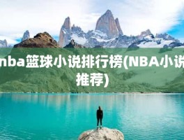 nba篮球小说排行榜(NBA小说推荐)