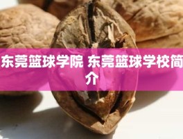 东莞篮球学院 东莞篮球学校简介