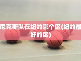 尼克斯队在纽约哪个区(纽约最好的区)