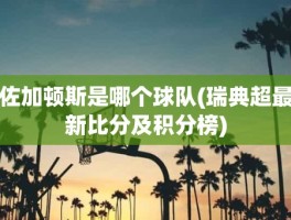 佐加顿斯是哪个球队(瑞典超最新比分及积分榜)