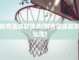 耐克篮球鞋清洗(耐克篮球鞋怎么洗)