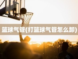 篮球气管(打篮球气管怎么卸)