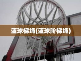 篮球梯绳(篮球阶梯绳)