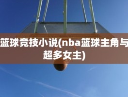 篮球竞技小说(nba篮球主角与超多女主)