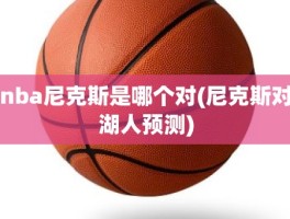 nba尼克斯是哪个对(尼克斯对湖人预测)