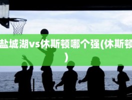 盐城湖vs休斯顿哪个强(休斯顿)