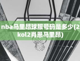 nba马里昂球服号码是多少(2kol2肖恩马里昂)