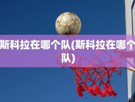 斯科拉在哪个队(斯科拉在哪个队)