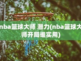 nba篮球大师 潜力(nba篮球大师开局谁实用)