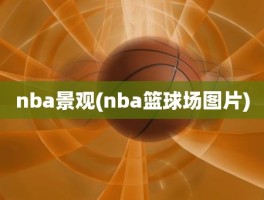 nba景观(nba篮球场图片)