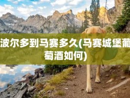 波尔多到马赛多久(马赛城堡葡萄酒如何)