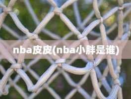 nba皮皮(nba小胖是谁)