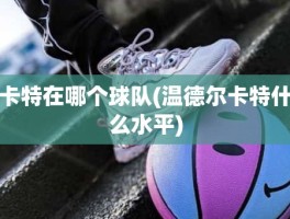 卡特在哪个球队(温德尔卡特什么水平)