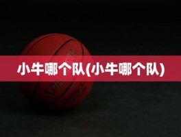 小牛哪个队(小牛哪个队)