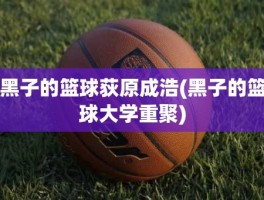 黑子的篮球荻原成浩(黑子的篮球大学重聚)