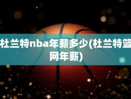 杜兰特nba年薪多少(杜兰特篮网年薪)