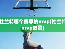 杜兰特哪个赛季的mvp(杜兰特mvp数量)