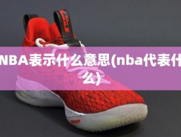 NBA表示什么意思(nba代表什么)