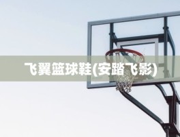 飞翼篮球鞋(安踏飞影)