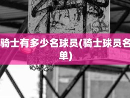 骑士有多少名球员(骑士球员名单)