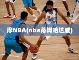 摩NBA(nba蒂姆哈达威)