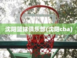 沈阳篮球俱乐部(沈阳cba)