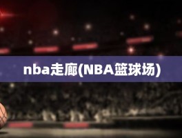 nba走廊(NBA篮球场)