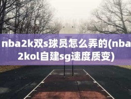 nba2k双s球员怎么弄的(nba2kol自建sg速度质变)