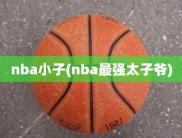 nba小子(nba最强太子爷)