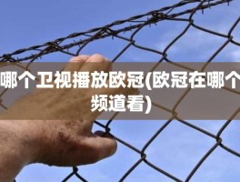 哪个卫视播放欧冠(欧冠在哪个频道看)