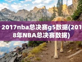 2017nba总决赛g5数据(2018年NBA总决赛数据)