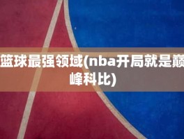 篮球最强领域(nba开局就是巅峰科比)