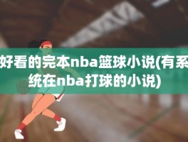 好看的完本nba篮球小说(有系统在nba打球的小说)