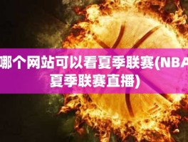 哪个网站可以看夏季联赛(NBA夏季联赛直播)