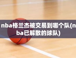 nba格兰杰被交易到哪个队(nba已解散的球队)