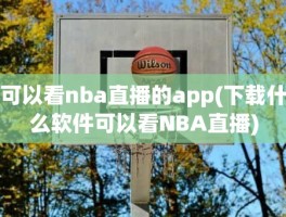 可以看nba直播的app(下载什么软件可以看NBA直播)