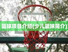篮球项目介绍(少儿篮球简介)