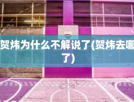 贺炜为什么不解说了(贺炜去哪了)