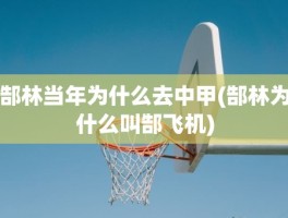郜林当年为什么去中甲(郜林为什么叫郜飞机)