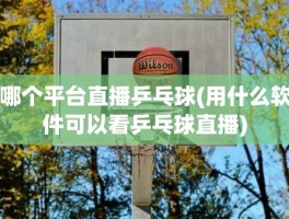 哪个平台直播乒乓球(用什么软件可以看乒乓球直播)