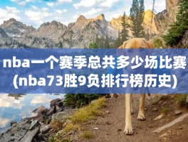 nba一个赛季总共多少场比赛(nba73胜9负排行榜历史)