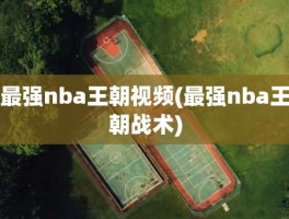 最强nba王朝视频(最强nba王朝战术)