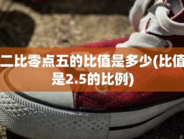 二比零点五的比值是多少(比值是2.5的比例)