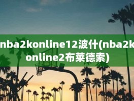 nba2konline12波什(nba2konline2布莱德索)